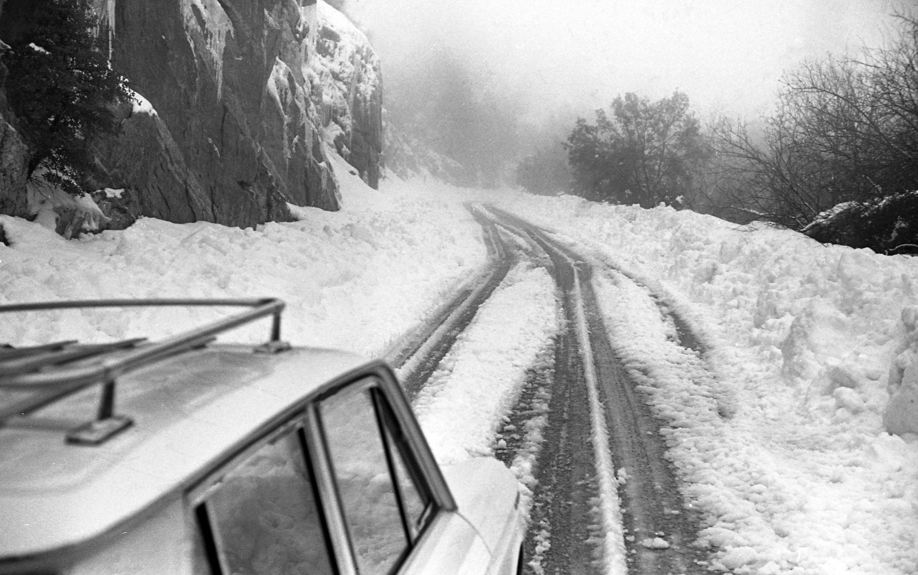 Catalina Highway, 1967